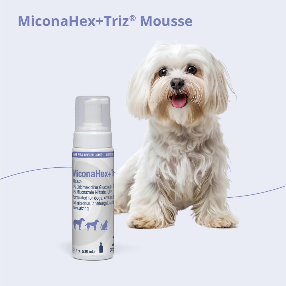 Mousse, 7.1 oz Z2864