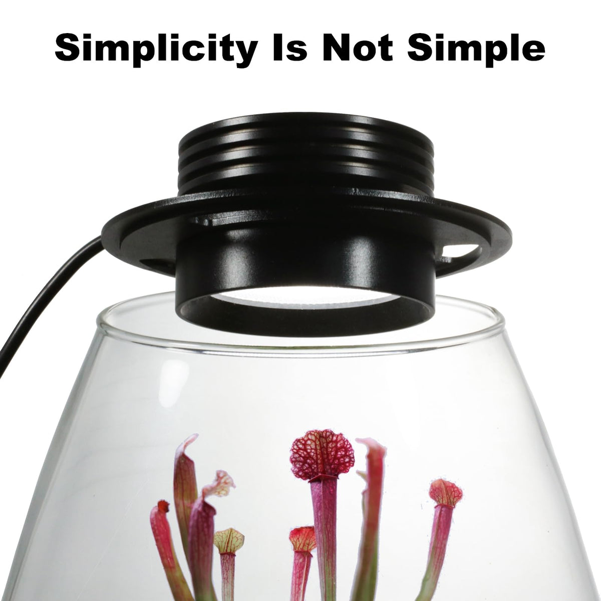 Glass Plant Terrarium with Grow Light T7659