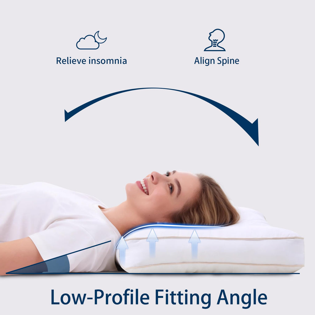 King Size Set of 2 Ultra Thin Pillow H8150