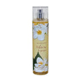 White Tea & Ginger 8.0 oz Body Splash E46746