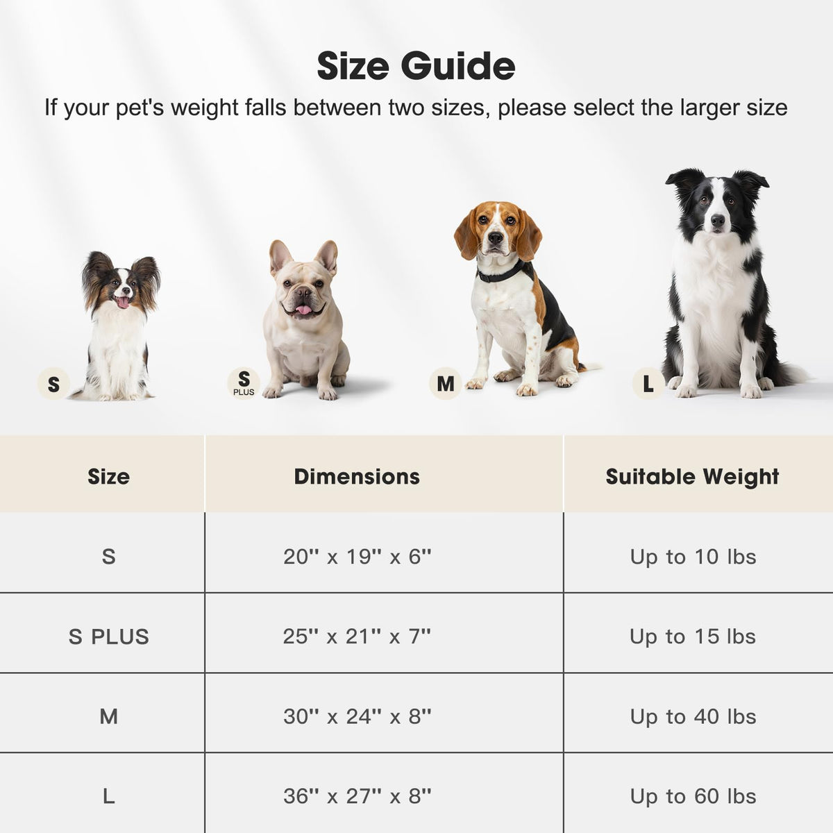 Medium Washable Dog Bed with Removable Cover R427186