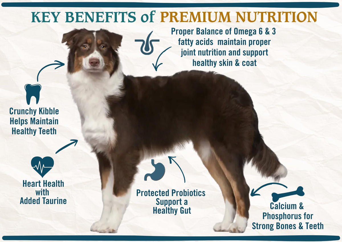 Chicken Brown Rice & Turkey Dry Dog Food 13.5lb U8540