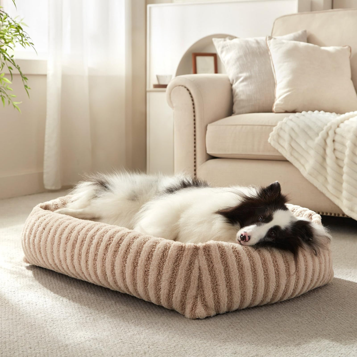 Medium Washable Dog Bed with Removable Cover R427186