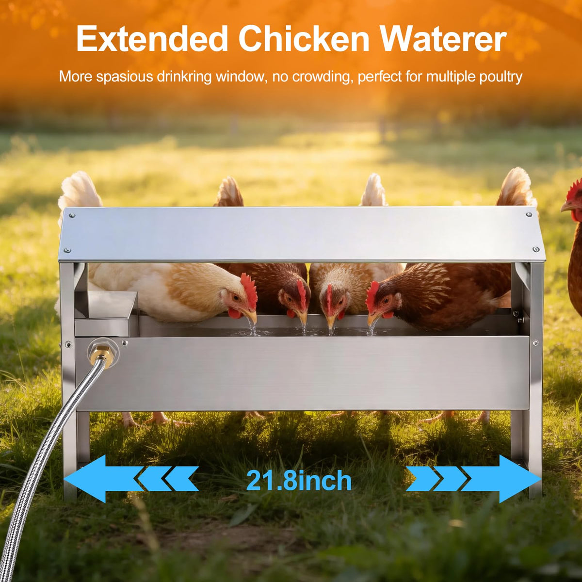 22'' Stainless Steel Automatic Chicken Waterer E2518