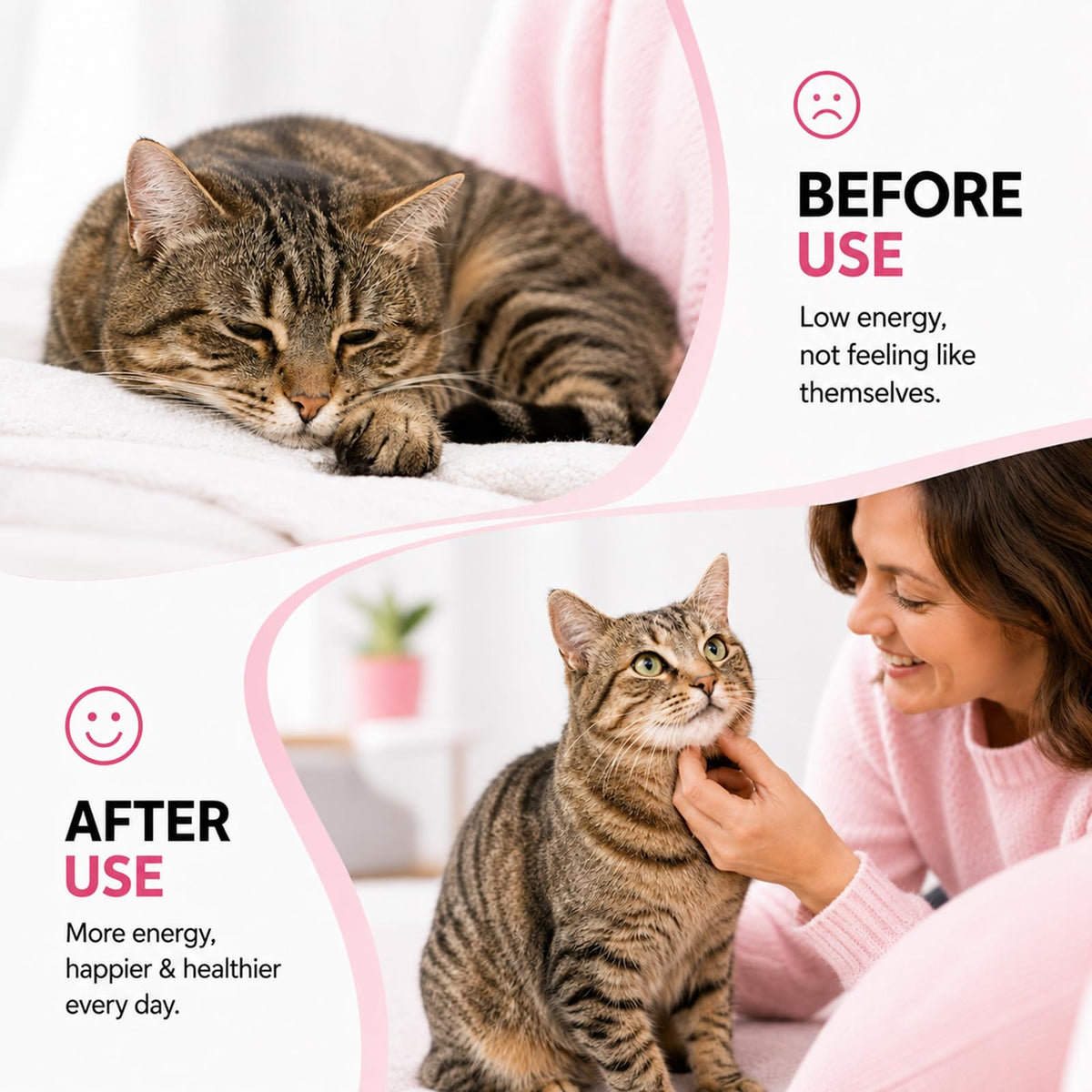 Cat Dewormer for Roundworms & Hookworms Y8157