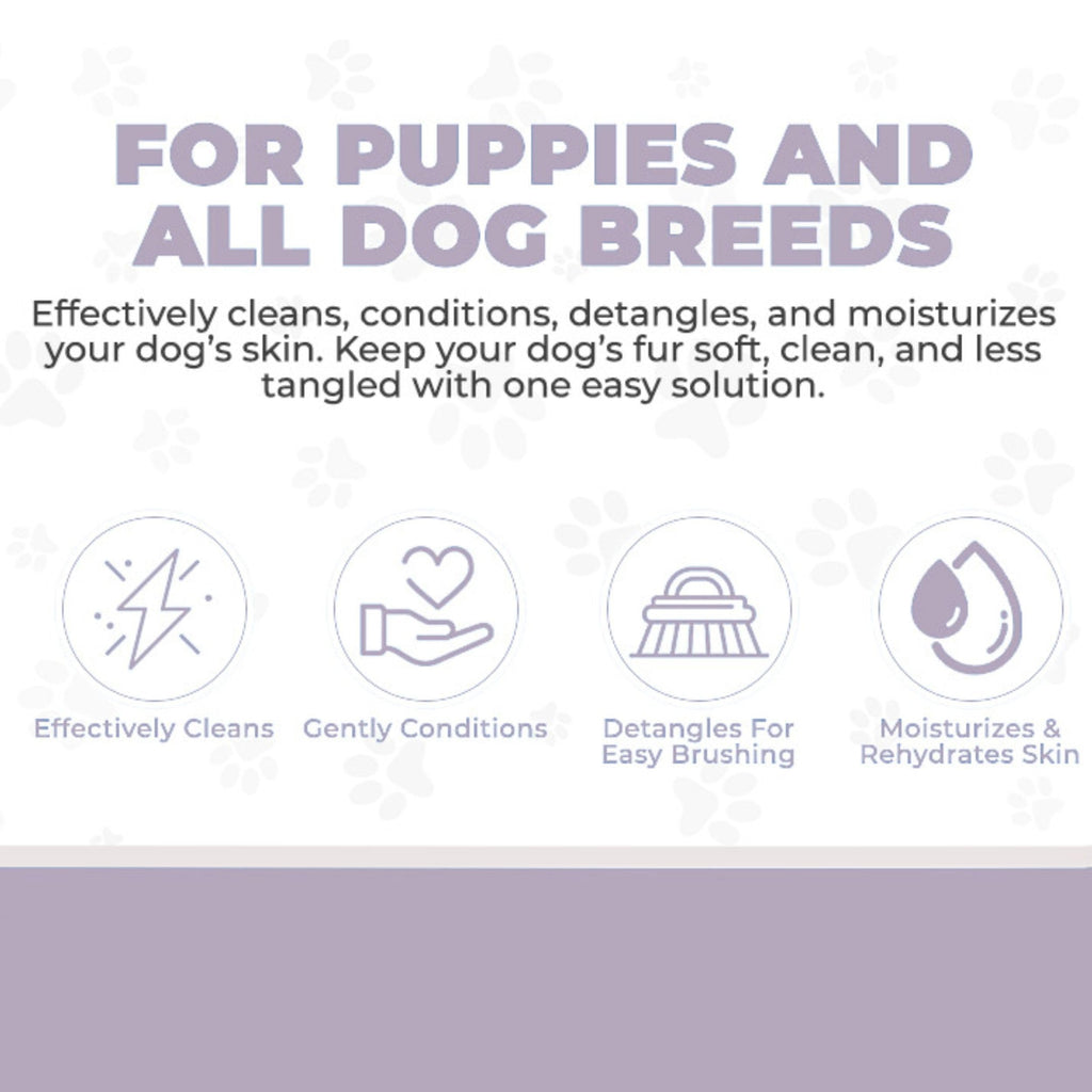 4-in-1 Dog Shampoo, Conditioner & Detangler, Lavender, 16 oz X987