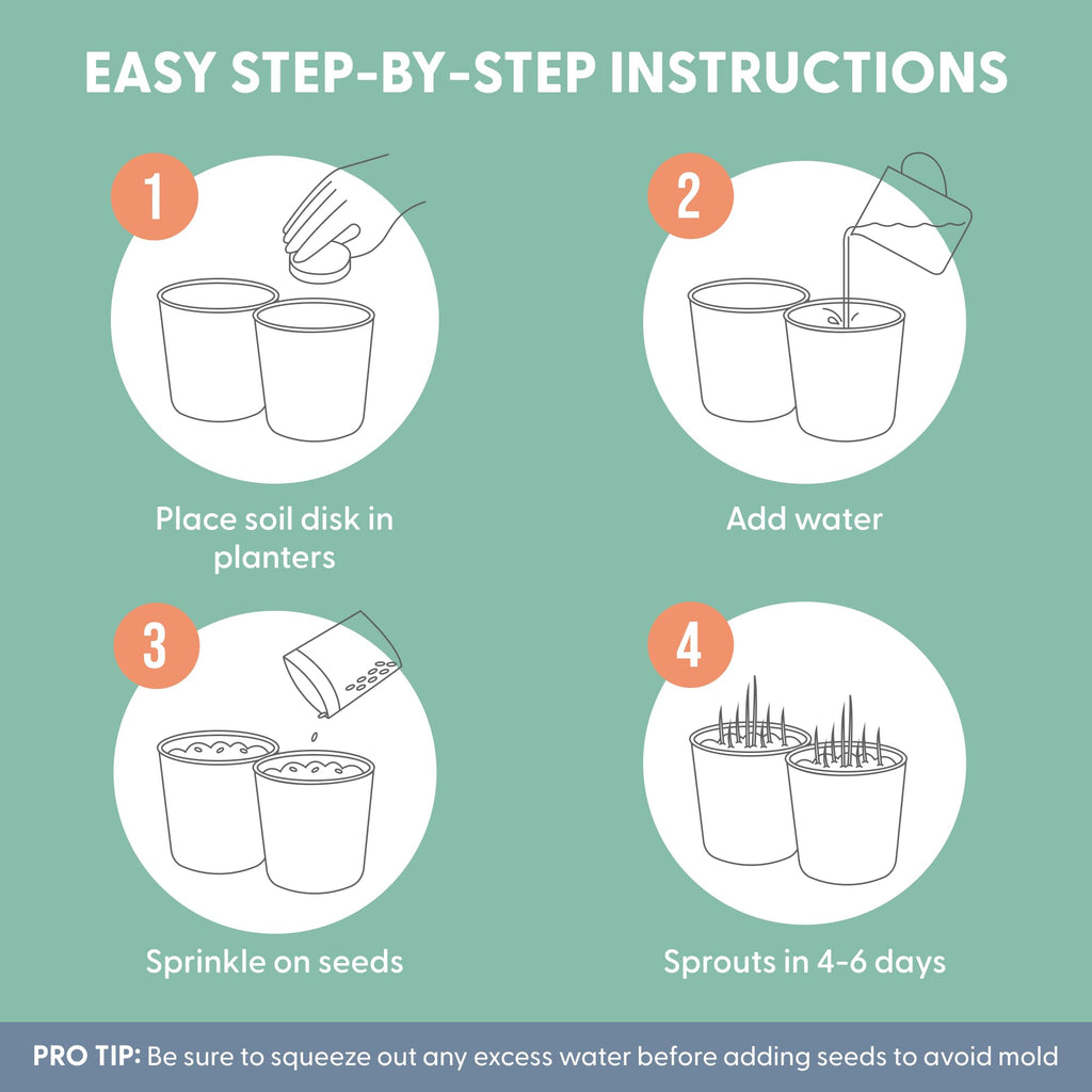 Organic Cat Grass Growing Kit with Seed, Soil and Two Ceramic Planters Q65660