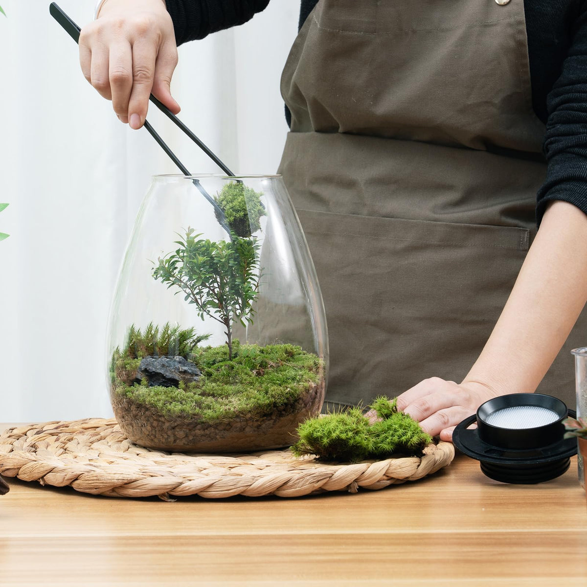Glass Plant Terrarium with Grow Light T7659