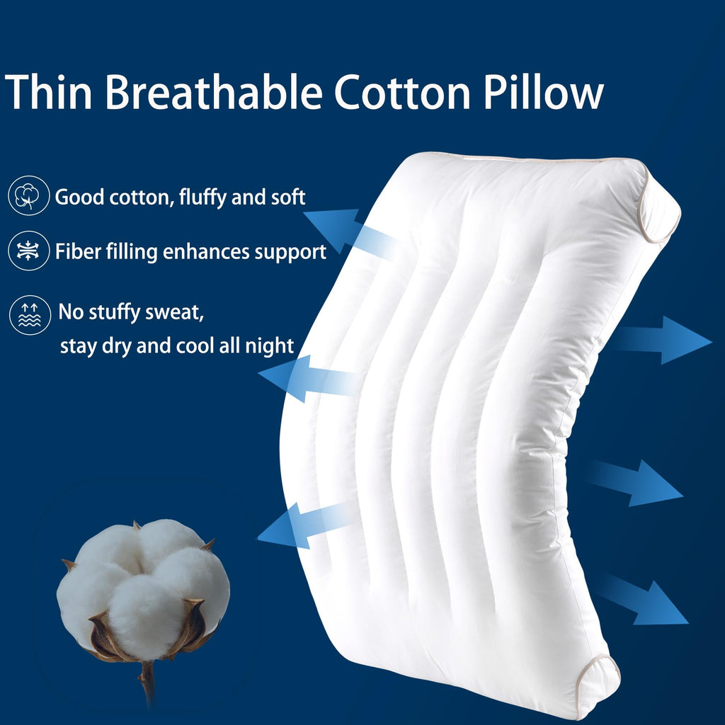 King Size Set of 2 Ultra Thin Pillow H8150