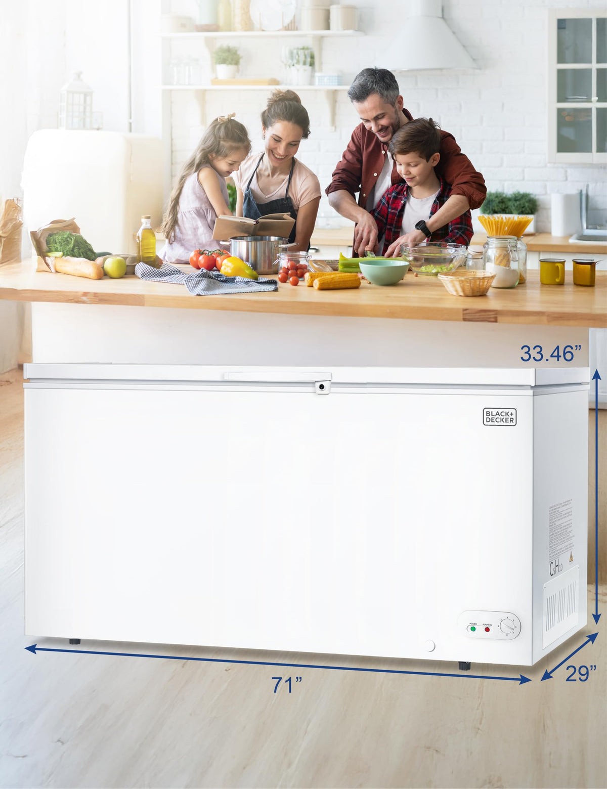 19.8 Cu. Ft. White Chest Freezer Y22031