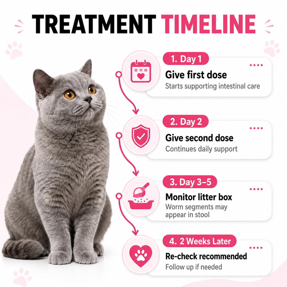 Cat Dewormer for Roundworms & Hookworms Y8157