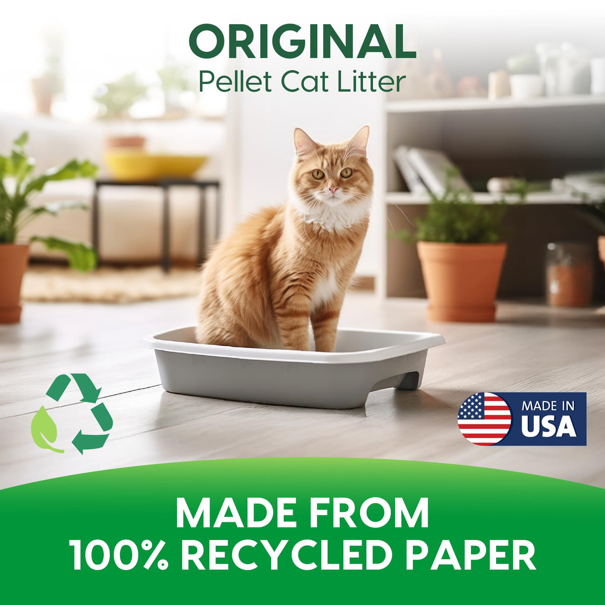Paper Non-Clumping Cat Litter 12 Pound E592184