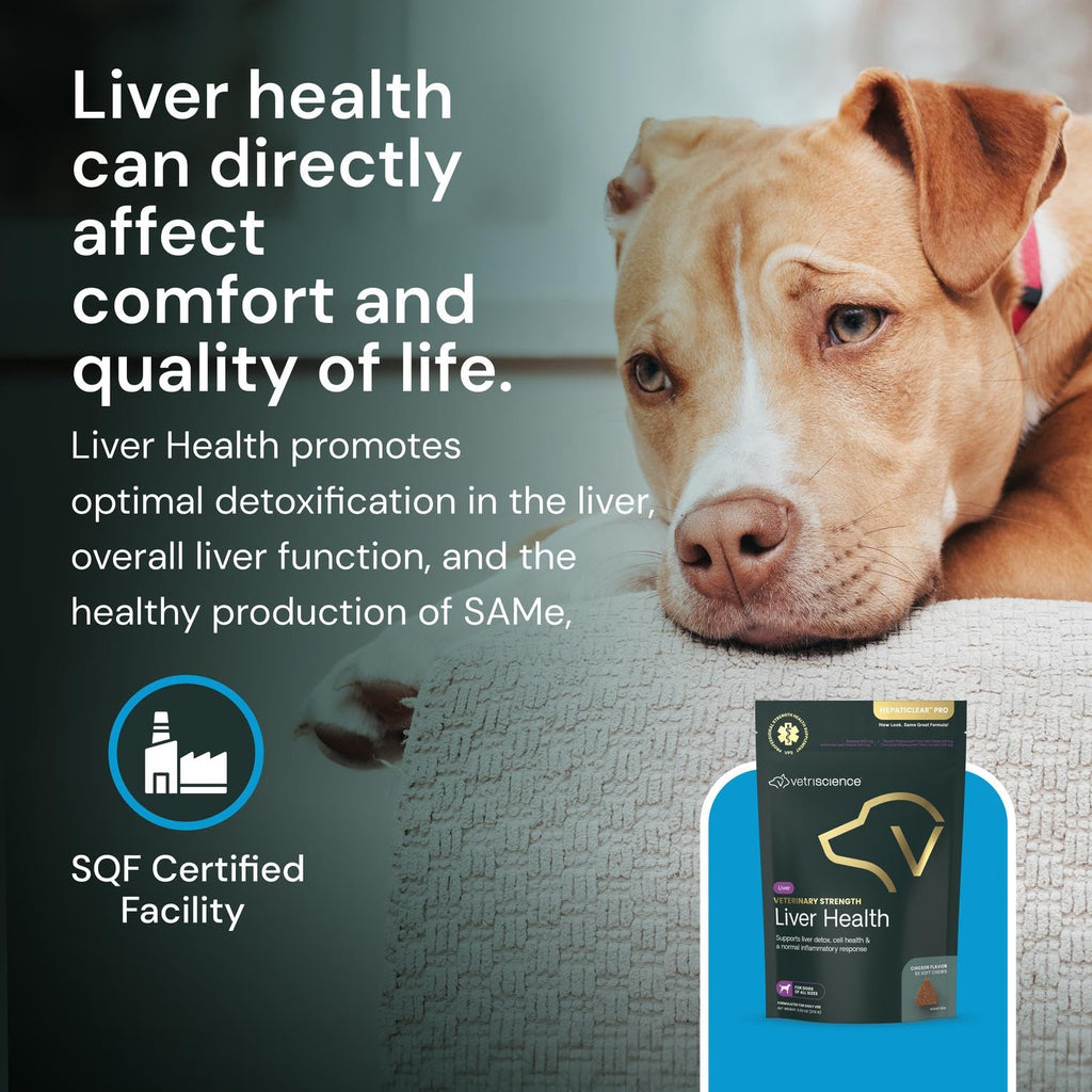 Liver Health Chews 60 Count F459