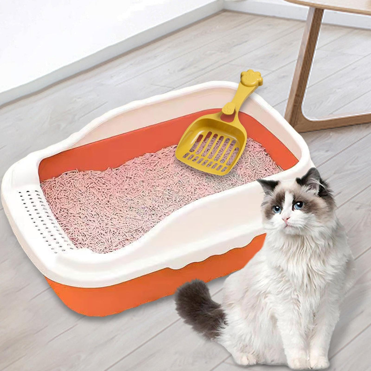 Orange Cat Litter Box with Sifting Spoon Q851