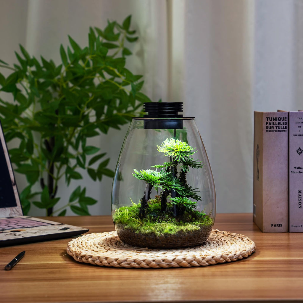 Glass Plant Terrarium with Grow Light T7659