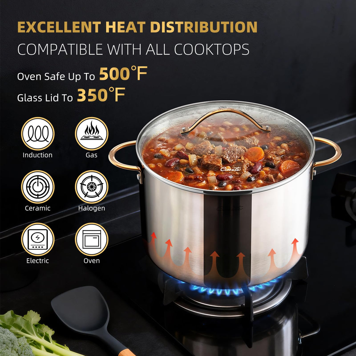 12 Quart Tri-Ply Stainless Steel Stock Pot with Lid X79750