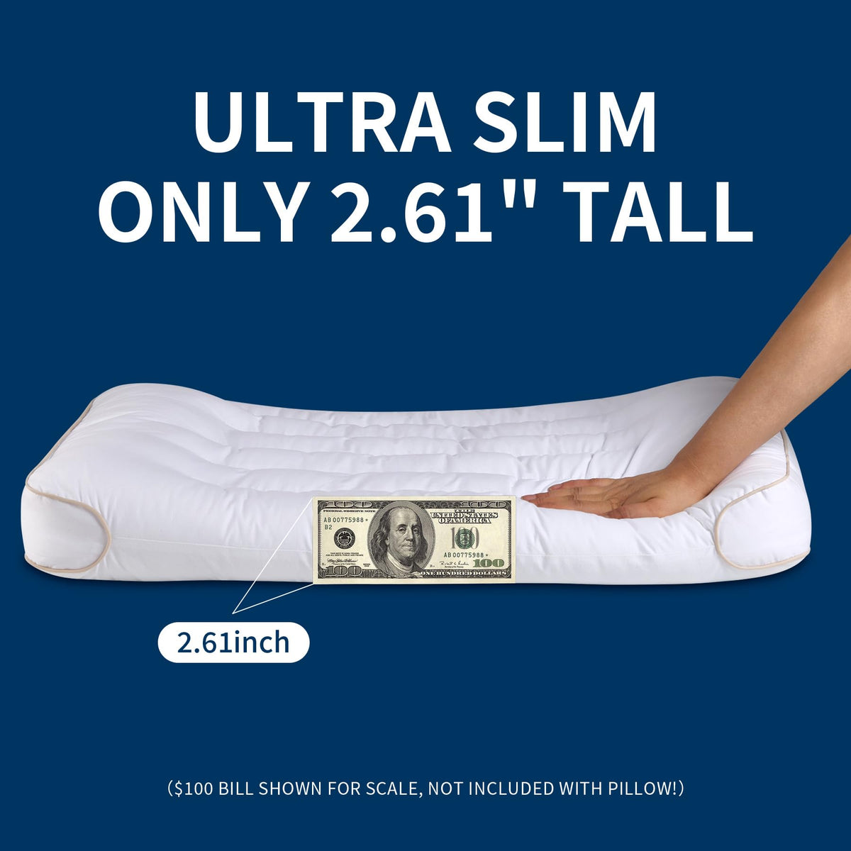 King Size Set of 2 Ultra Thin Pillow H8150