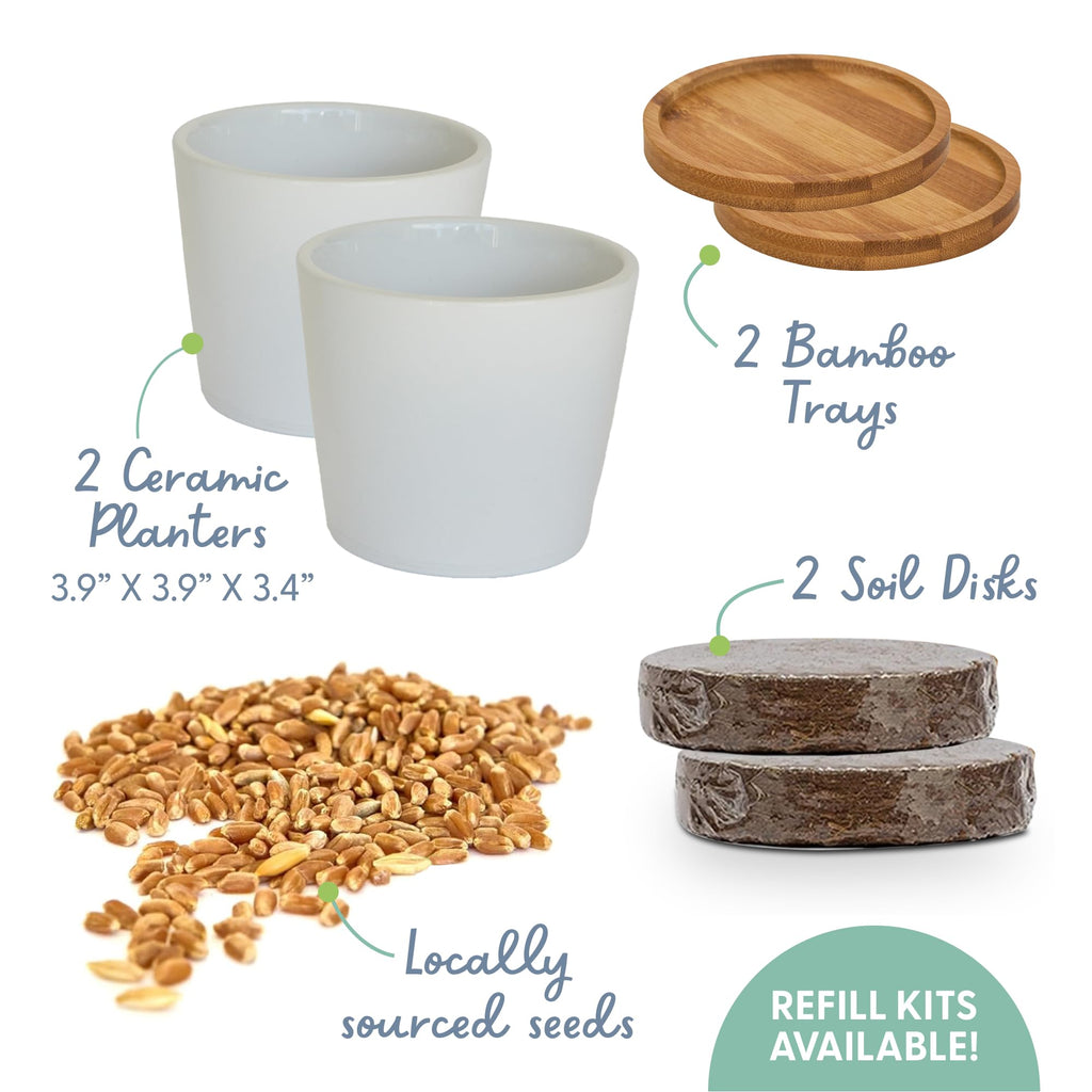 Organic Cat Grass Growing Kit with Seed, Soil and Two Ceramic Planters Q65660