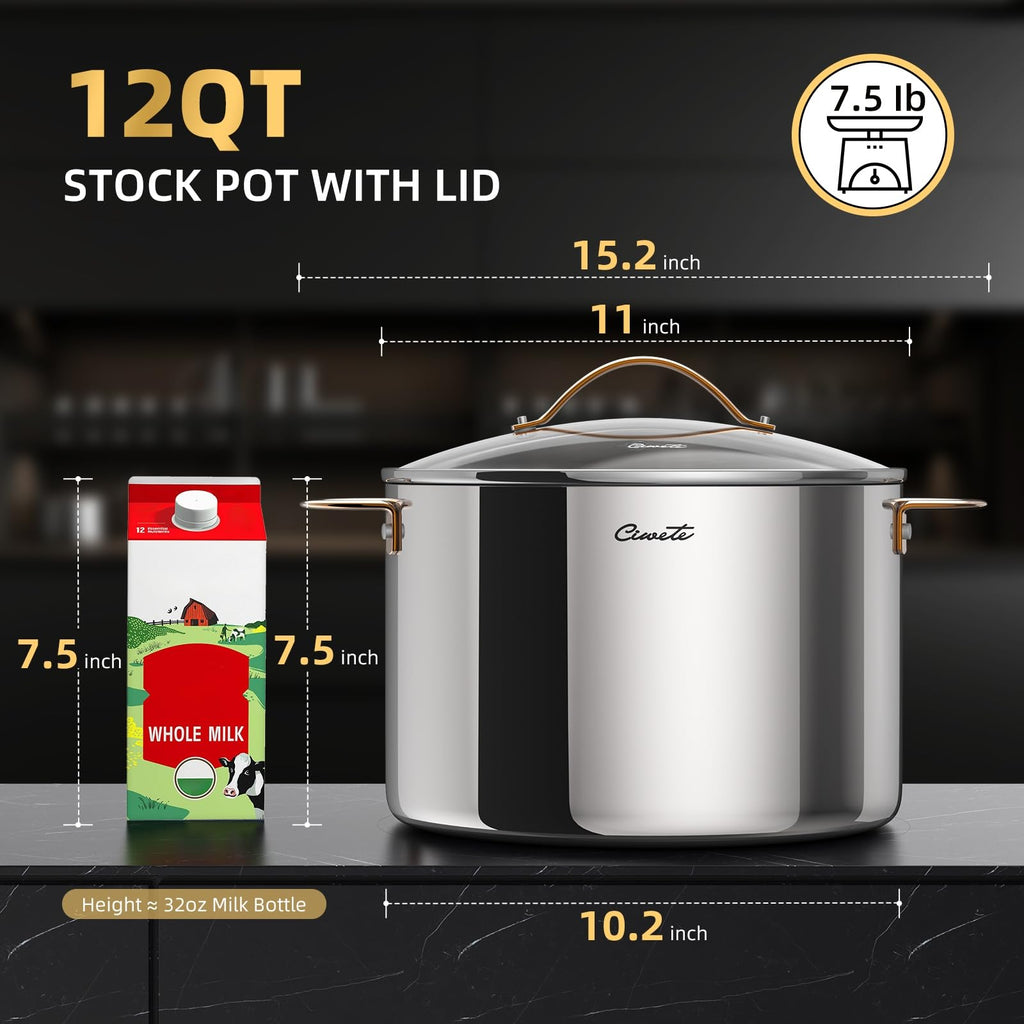 12 Quart Tri-Ply Stainless Steel Stock Pot with Lid X79750