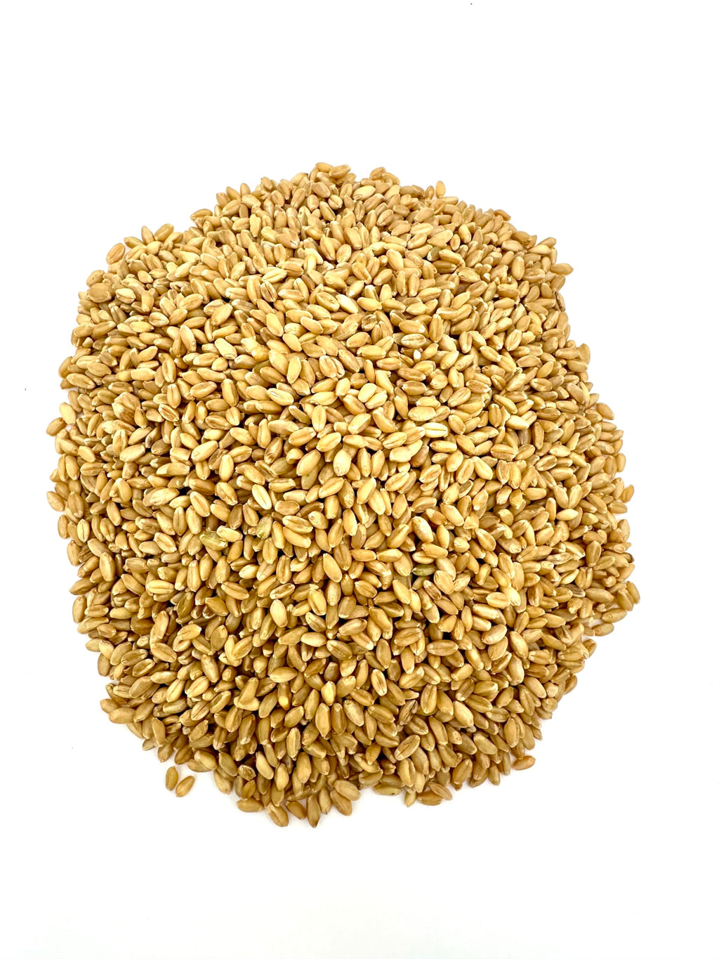 Organic White Wheat Berries 20lb T788