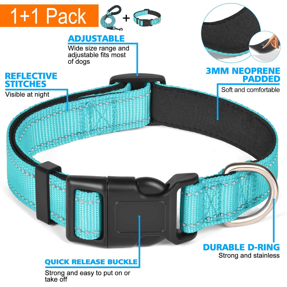 Reflective Padded Dog Collar with Neoprene, Medium, Turquoise D802