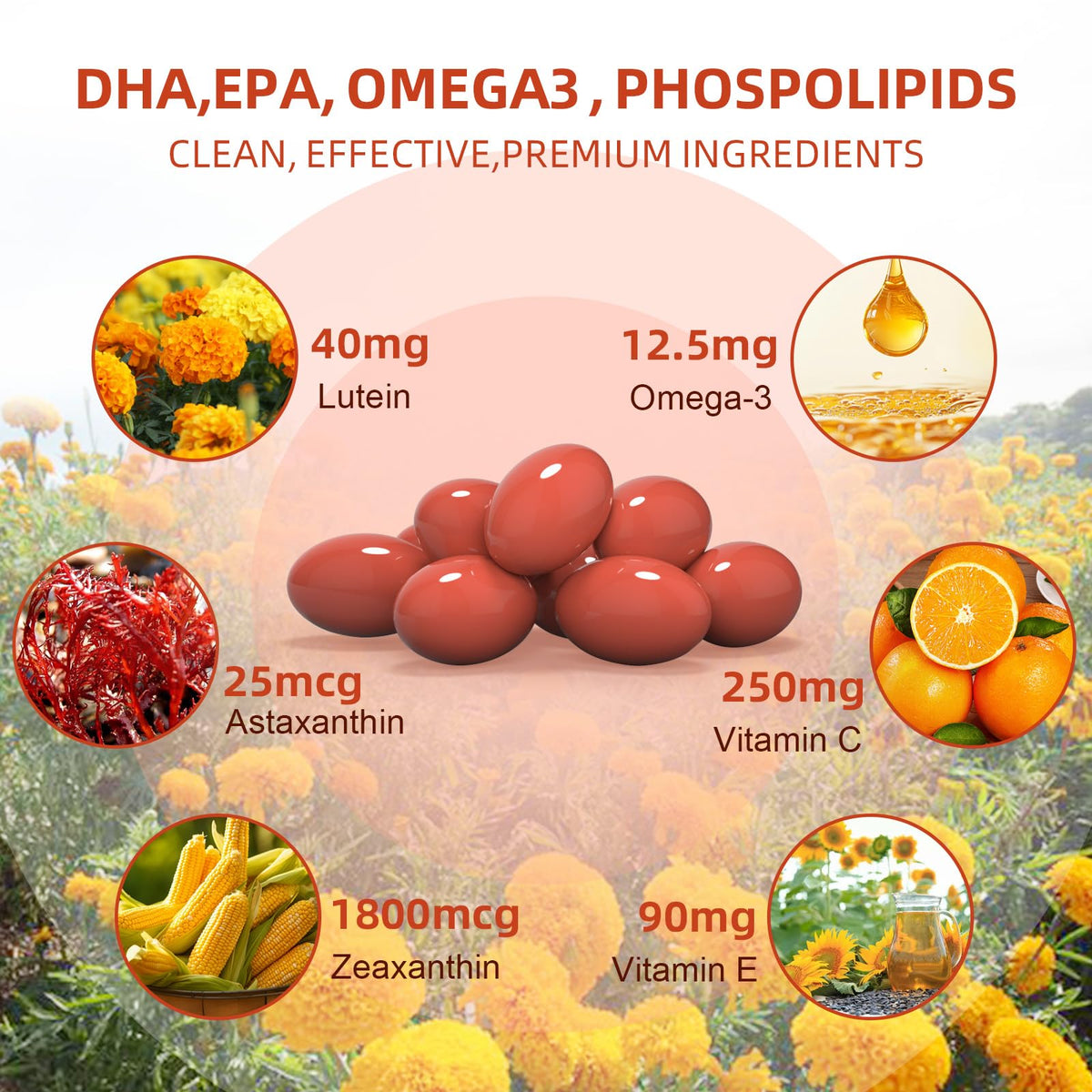 Lutein and Zeaxanthin Softgels with Vitamins C, E, Omega 3 C5525