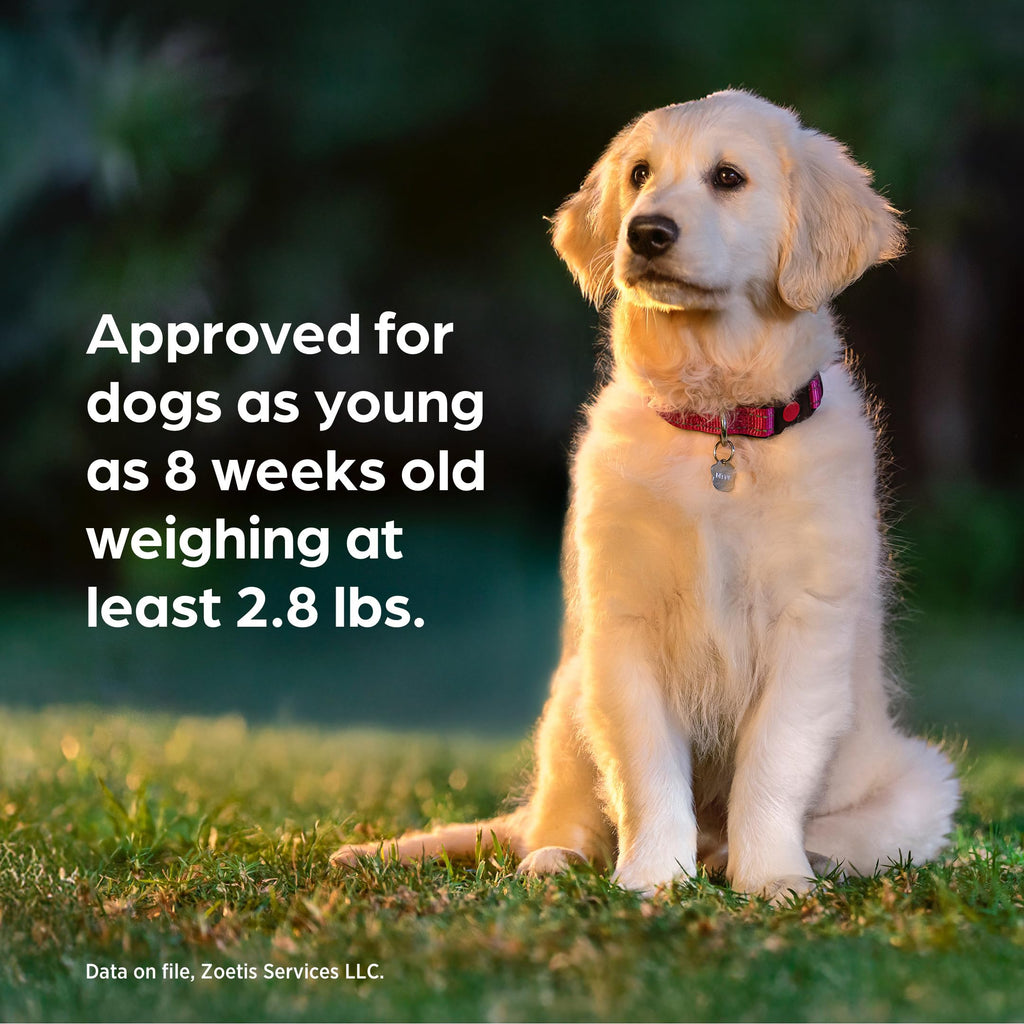 Chewable for Dogs Liver Flavor 88.1-132 lbs 1-Month C4851