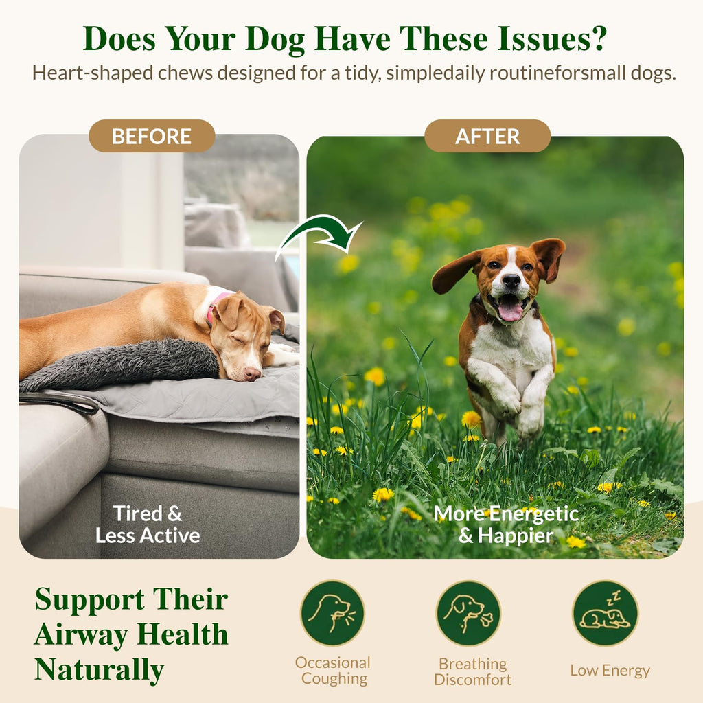 Soft Chews for Dogs R936