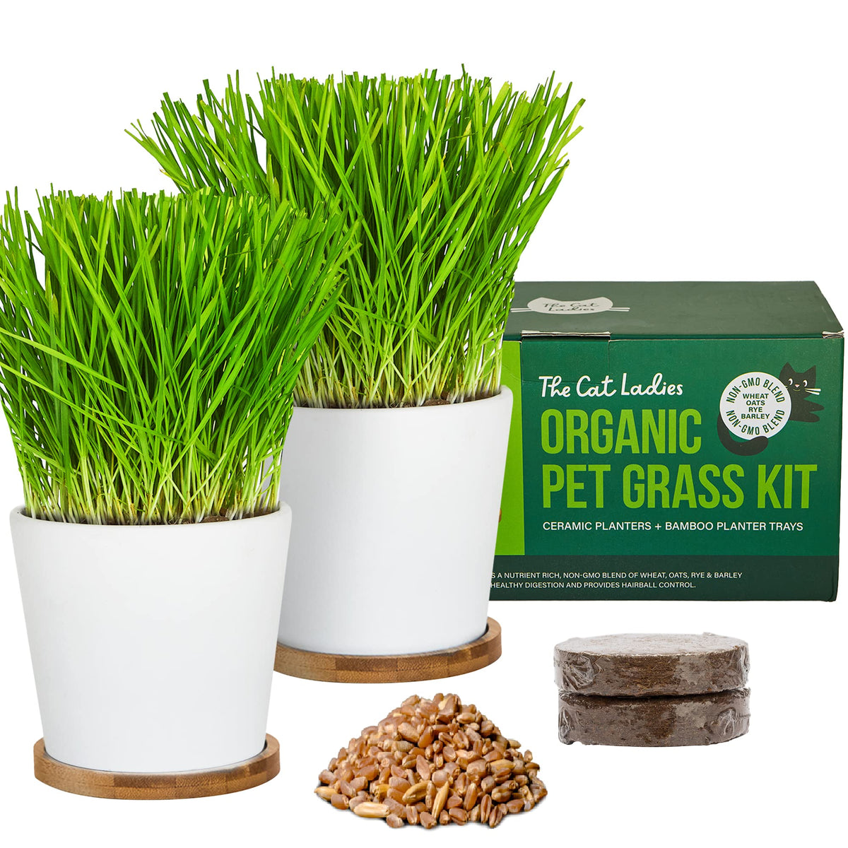 Organic Cat Grass Growing Kit with Seed, Soil and Two Ceramic Planters Q65660