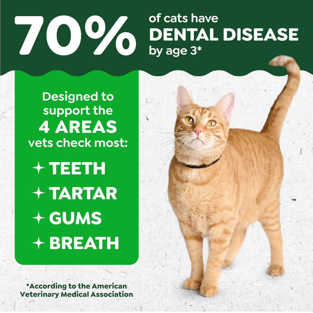 Catnip Flavor Dental Cat Treats 4.6 oz H5067