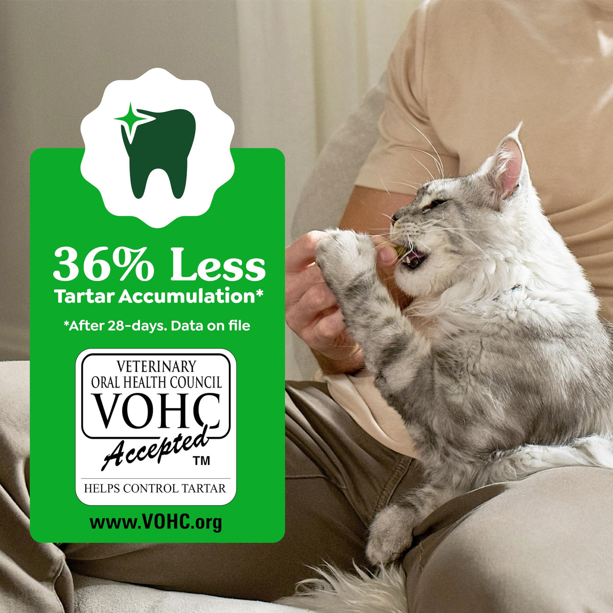 Catnip Flavor Dental Cat Treats 4.6 oz H5067