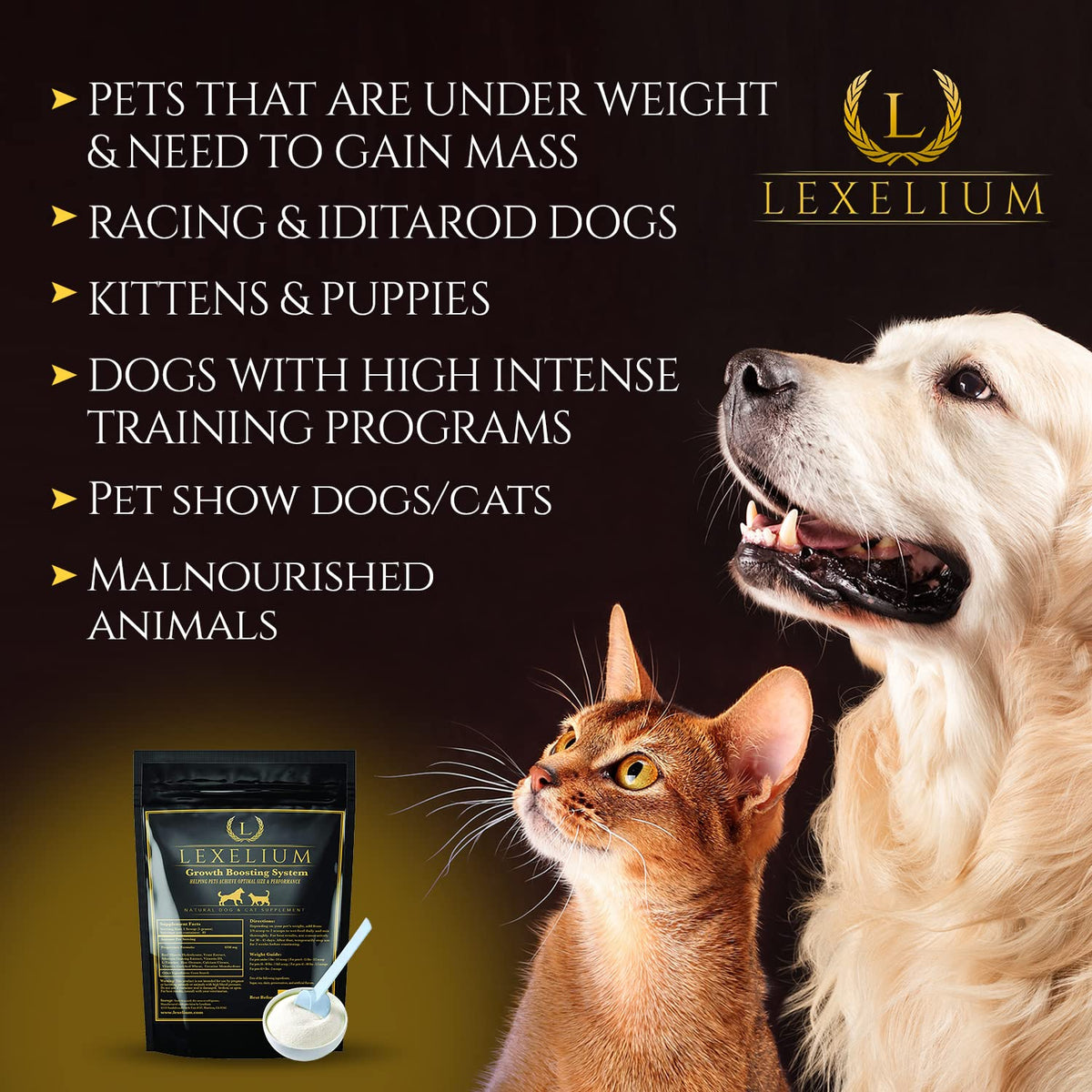 Weight Gainer Supplement for Dogs & Cats 200g A35539