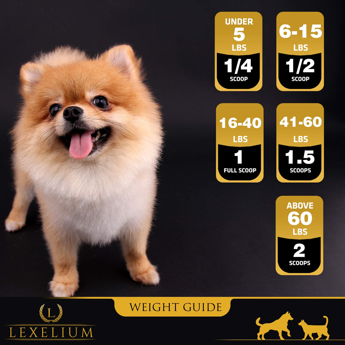 Weight Gainer Supplement for Dogs & Cats 200g A35539