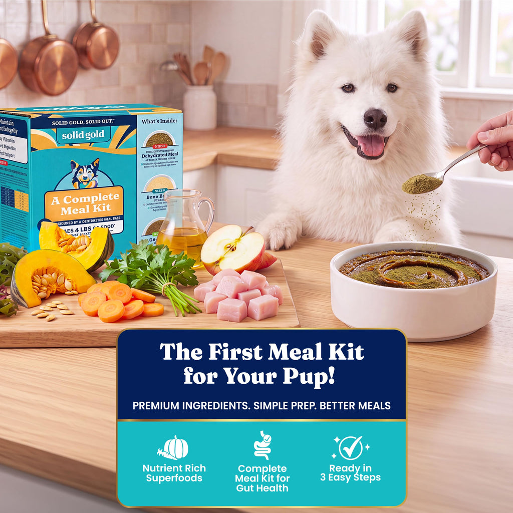 Solid Gold Chicken Dehydrated Dog Food E20494