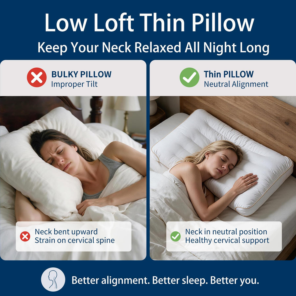 King Size Set of 2 Ultra Thin Pillow H8150
