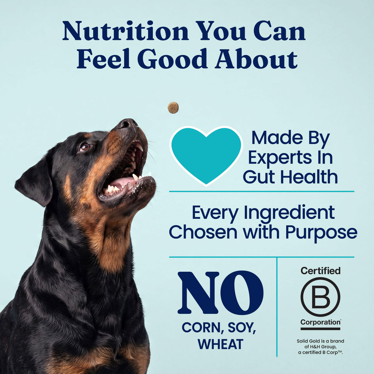 Solid Gold Chicken Dehydrated Dog Food E20494