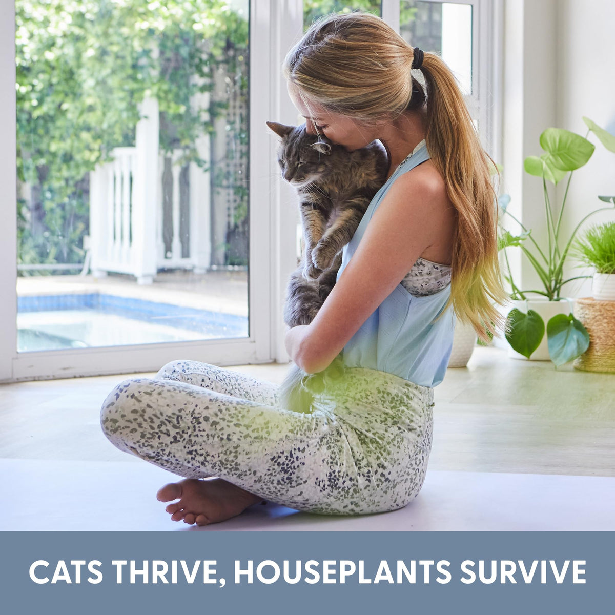 Organic Cat Grass Growing Kit with Seed, Soil and Two Ceramic Planters Q65660