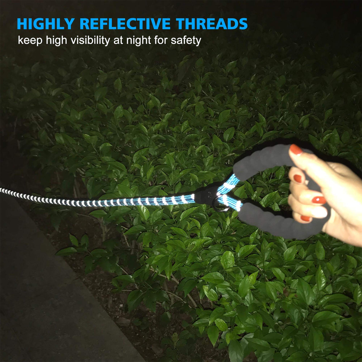 Reflective Padded Dog Collar with Neoprene, Medium, Turquoise D802