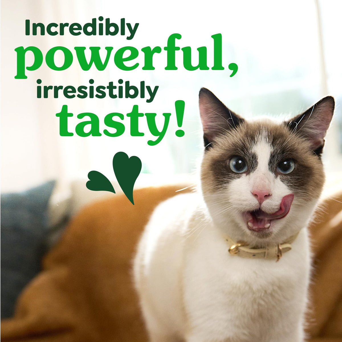 Catnip Flavor Dental Cat Treats 4.6 oz H5067