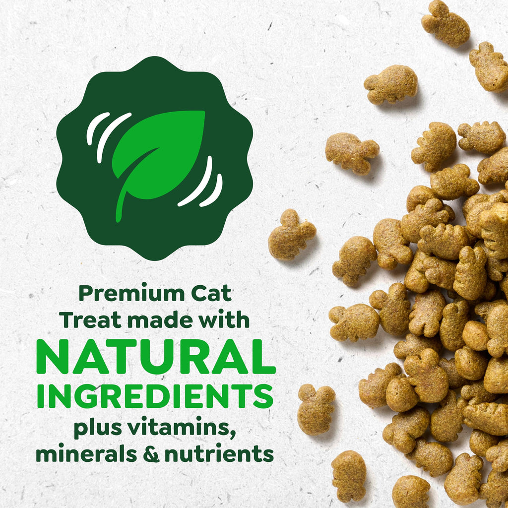 Catnip Flavor Dental Cat Treats 4.6 oz H5067