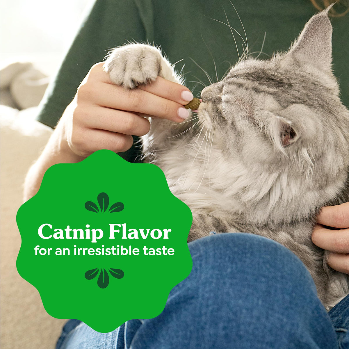 Catnip Flavor Dental Cat Treats 4.6 oz H5067